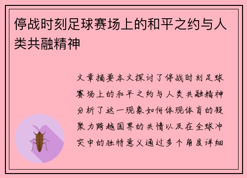 停战时刻足球赛场上的和平之约与人类共融精神