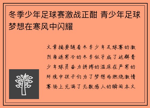 冬季少年足球赛激战正酣 青少年足球梦想在寒风中闪耀