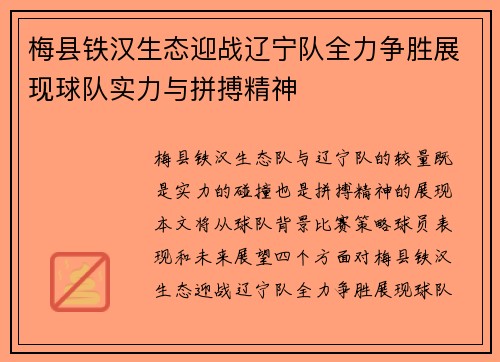 梅县铁汉生态迎战辽宁队全力争胜展现球队实力与拼搏精神