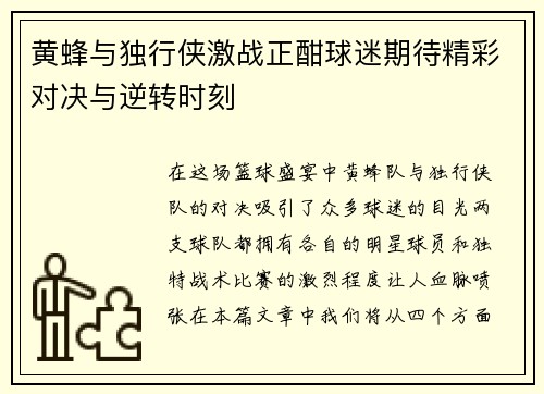 黄蜂与独行侠激战正酣球迷期待精彩对决与逆转时刻