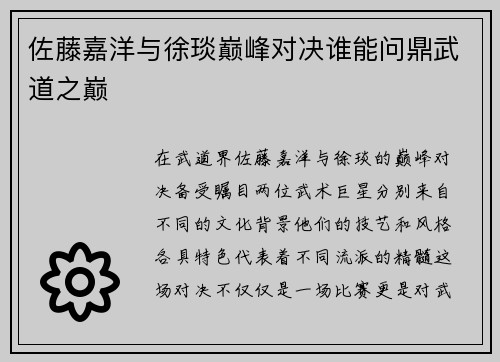 佐藤嘉洋与徐琰巅峰对决谁能问鼎武道之巅