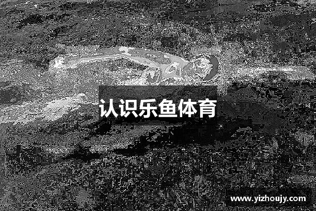 认识乐鱼体育